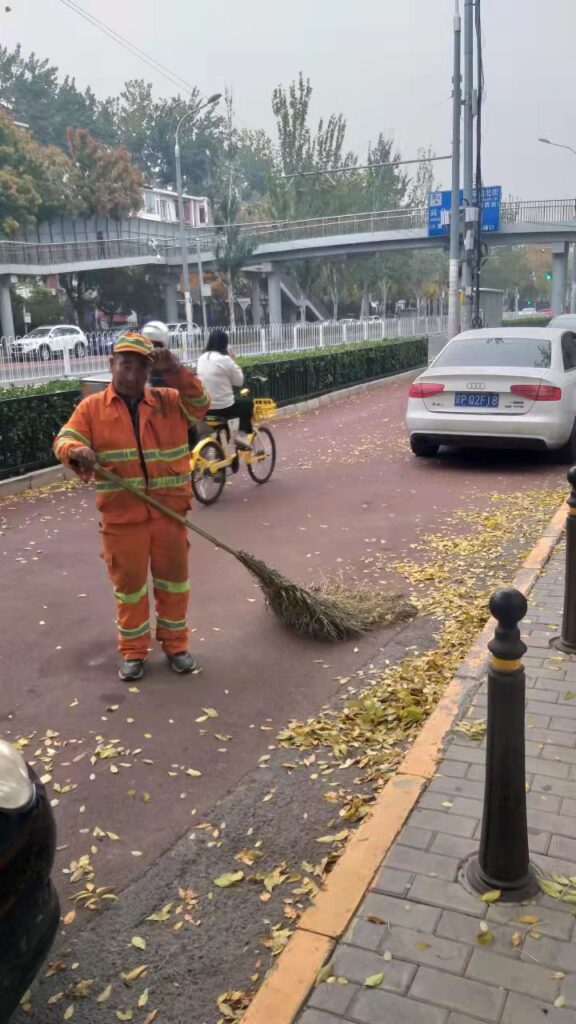 Золотая осень в Пекине 🍂🏯🍁