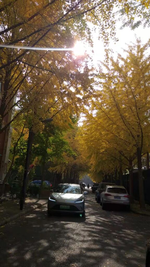 Золотая осень в Пекине 🍂🏯🍁