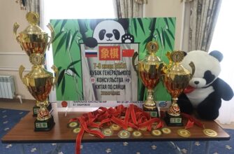 В Хабаровске стартовал II Кубок Генерального консульства КНР по сянци